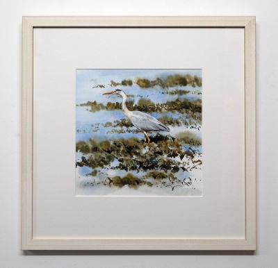 grey heron, arisaig by lucy newton