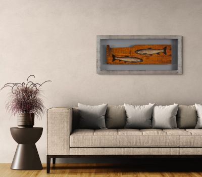  dividing line by donald provan