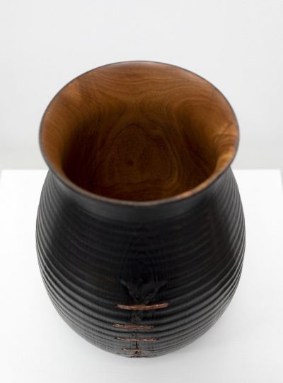 1891 Wych Elm from Fuinary, Morvern | John Hodgson