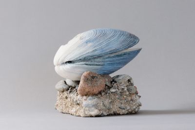 to have and to hold by lucy gray