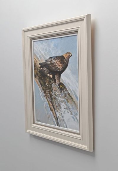 golden eagle by Alan B Hayman