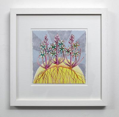 narthecium ossifragum, ardnamurchan (bog asphodel) by kirsty lorenz