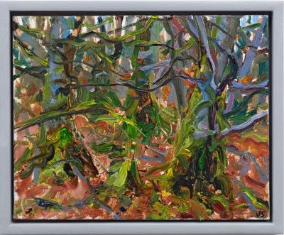 beech woods, april by jonathan shearer