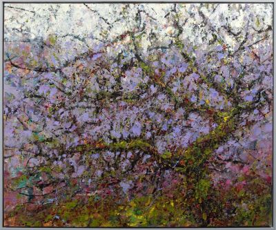 old man ancient oak by jonathan shearer