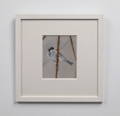 sparrow by ruth o'dell