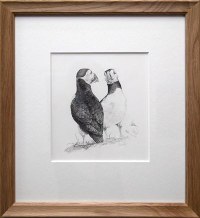 puffin pair by colin woolf