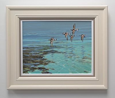 turnstones by Alan B Hayman