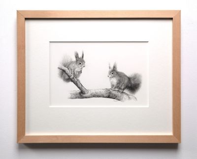 squirrels - meeting by colin woolf