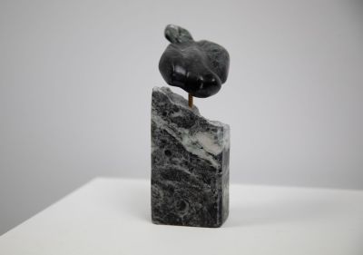 on the wing by siobhan morison