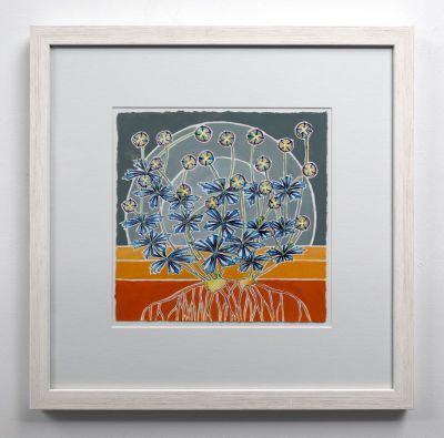 potentilla erecta, ardnamurchan (tormentil) by kirsty lorenz