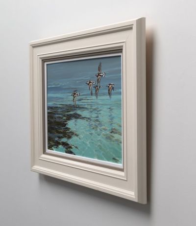 turnstones by Alan B Hayman