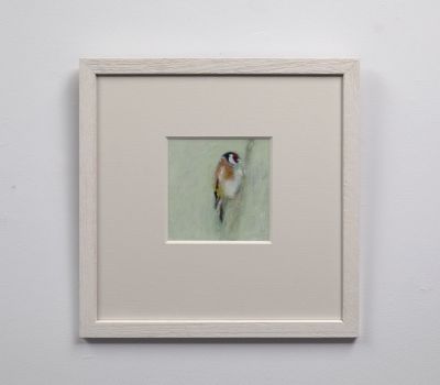 goldfinch feeding by ruth o'dell