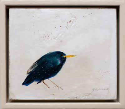 starling | andrew squire