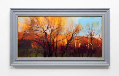 winter evening trees by andrew sinclair