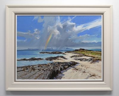 gannets off arisaig by alan b hayman