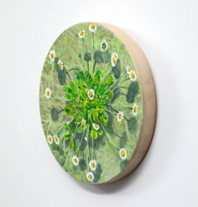 cosmic daisy by kirsty lorenz