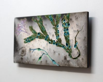 Seaweed with Fossil i | Helen Michie