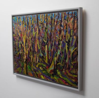 winter light, contullich woods by jonathan shearer