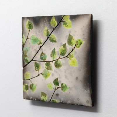 spring birch by helen michie