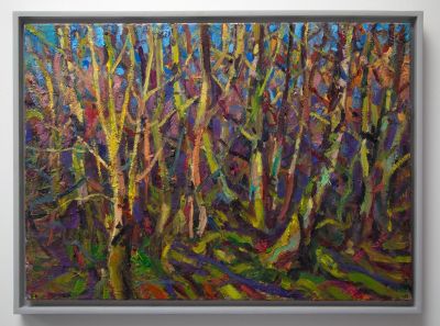 winter light, contullich woods by jonathan shearer