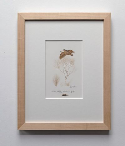 woodcock by Colin Woolf