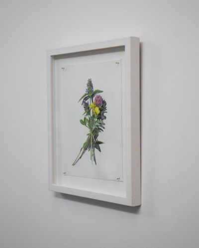 votive offering no.23, selfheal, clover and buttercup by kirsty lorenz