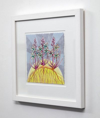 narthecium ossifragum, ardnamurchan (bog asphodel) by kirsty lorenz