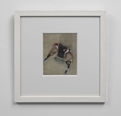 goldfinches feeding by ruth o'dell