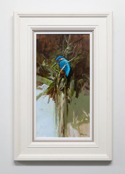 kingfisher by alan b hayman