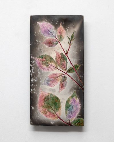 pink autumn bramble by helen michie
