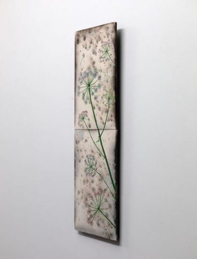 summer cow parsley V by helen michie