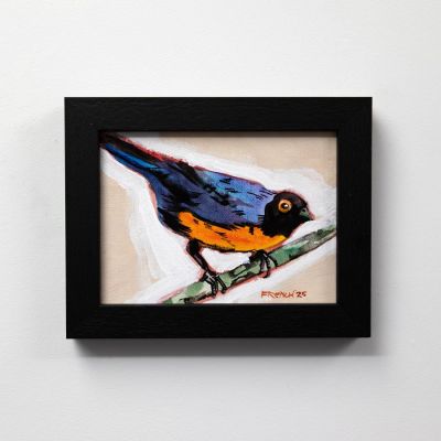 blue & orange tanager by Stephen French