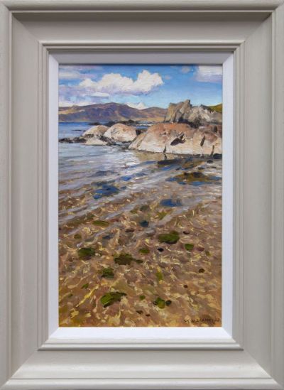 coast at ord by david deamer