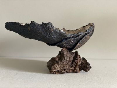 The Peninsula’s Pearl by lucy gray