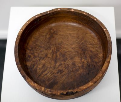 1896 Burr Oak from Acharn | John Hodgson