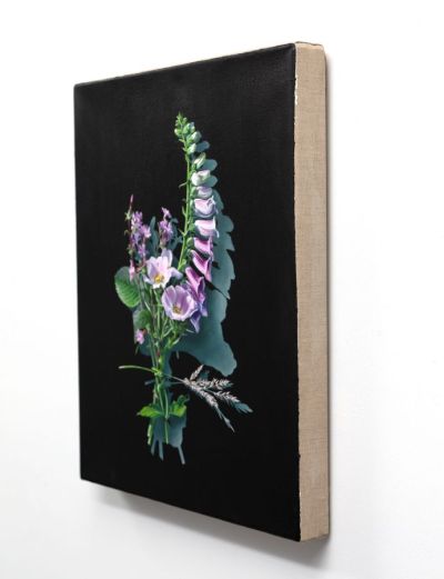 votive offering no.91, dog rose and foxglove after mary delany by kirsty lorenz