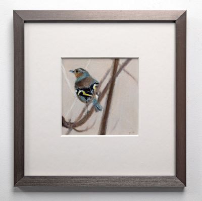 chaffinch by ruth o'dell