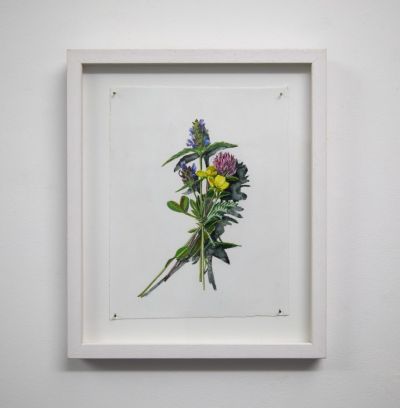 votive offering no.23, selfheal, clover and buttercup by kirsty lorenz
