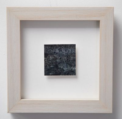 tephromela III by jane rushton