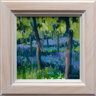 Bluebell Wood | Penelope Anstice