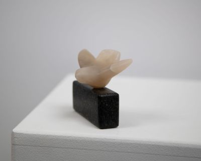 touch down by siobhan morison