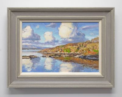glenborrodale shoreline by david deamer