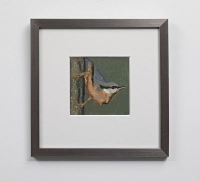 nuthatch by ruth o'dell