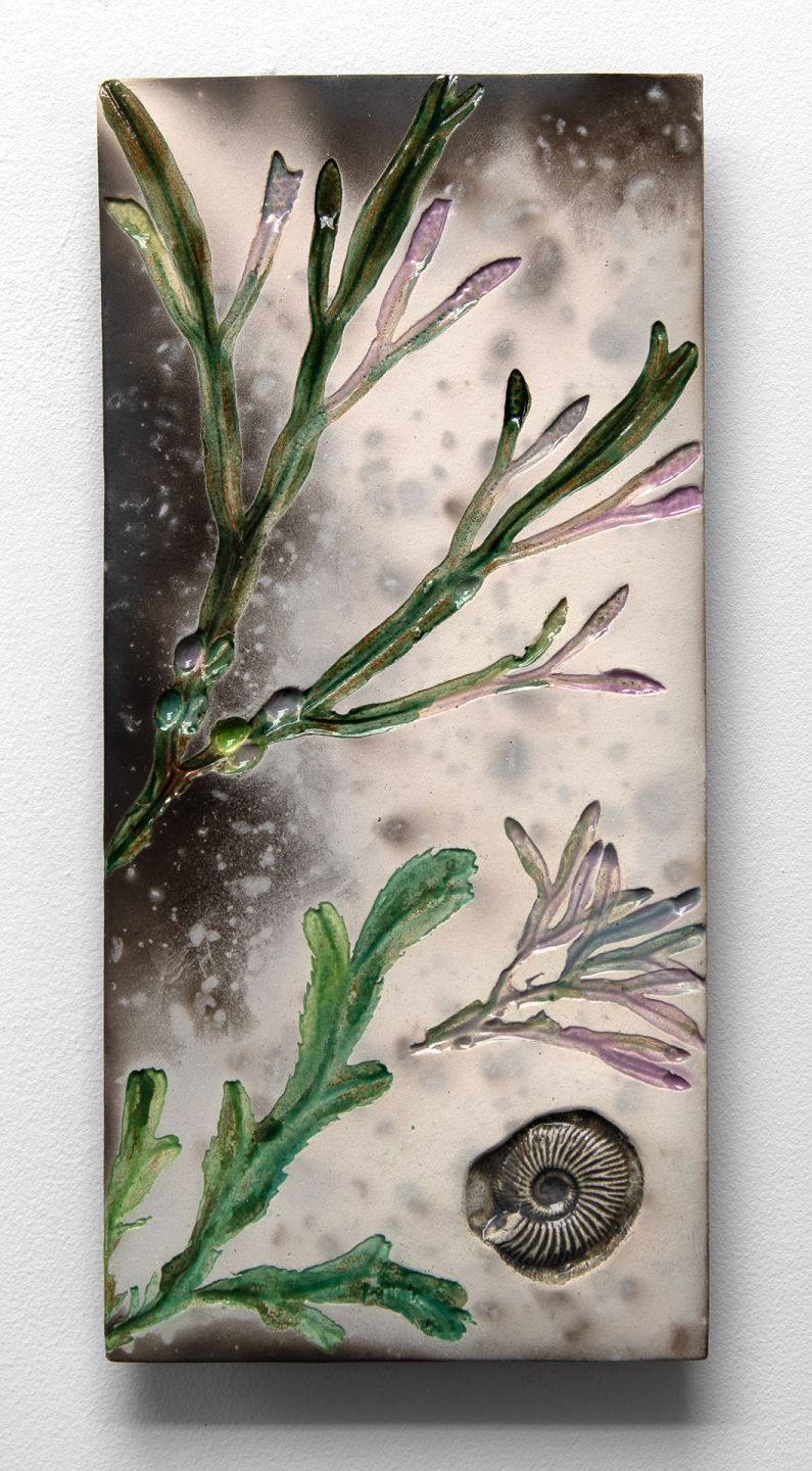 west seaweed & fossil I by helen michie