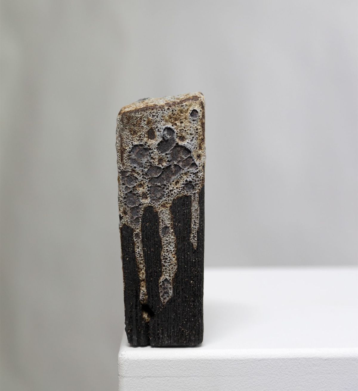 belonging III by kathryn stevens