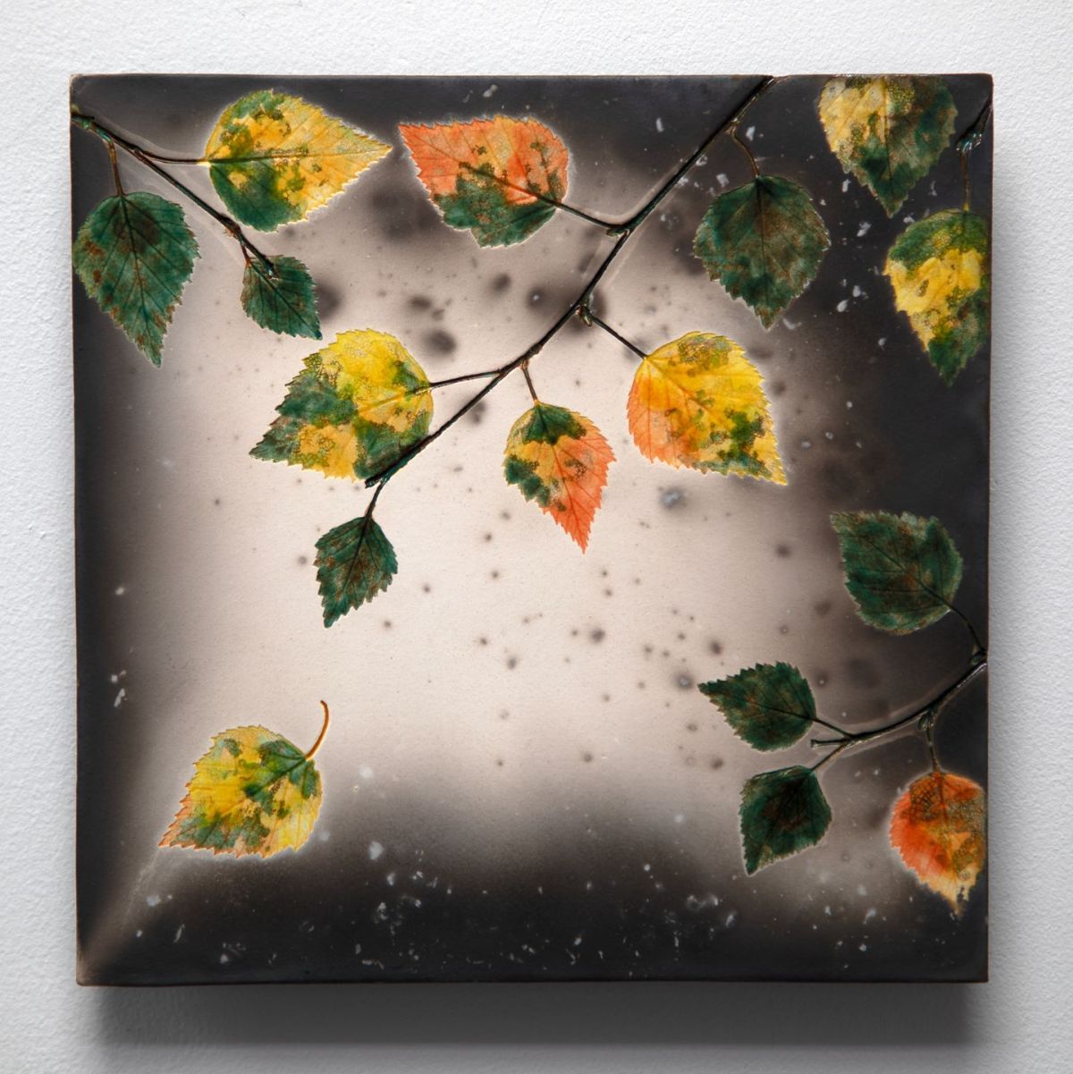 birch in autumn III by helen michie