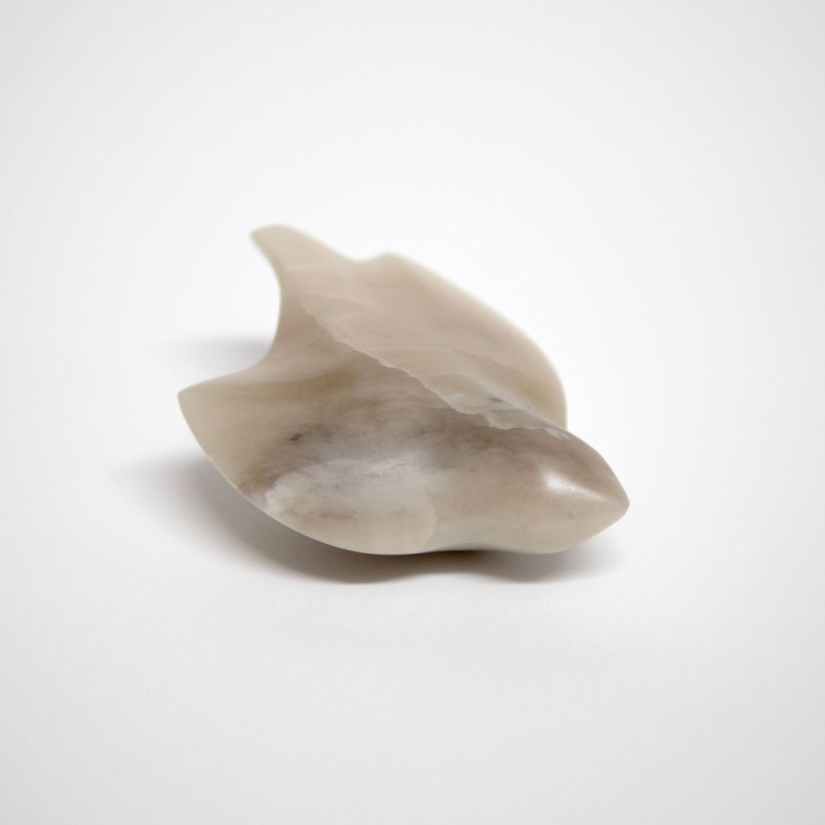 a bird in the hand by siobhan morison