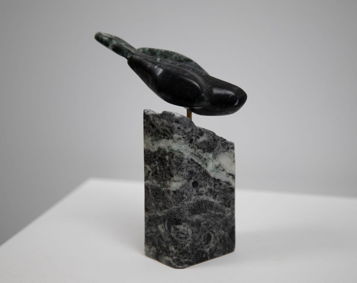 on the wing by siobhan morison