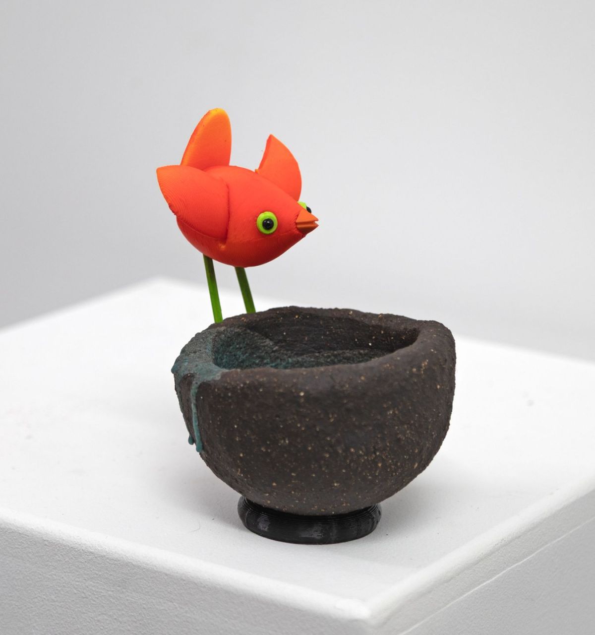 orange bird on black nest I by Chris Barnes