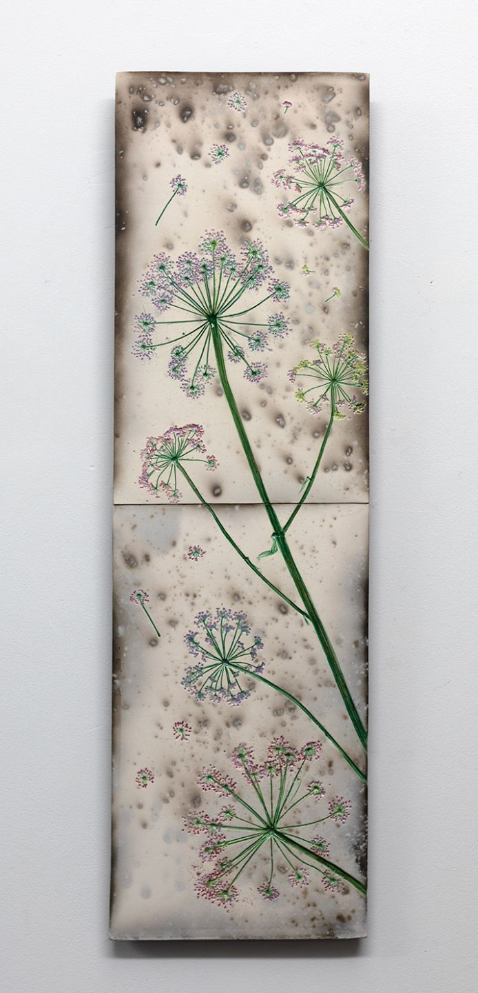 summer cow parsley V by helen michie